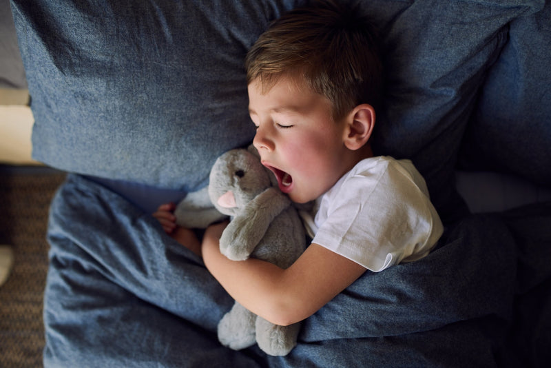 Het juiste bed kopen voor de kinderkamer: tips en aandachtspunten